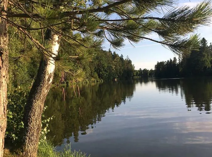Am Herrensee * Litschau